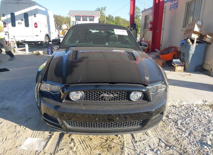 Photo 12 of 2014 Ford Mustang GT PREMIUM (VIN 1ZVBP8FF5E5325426)