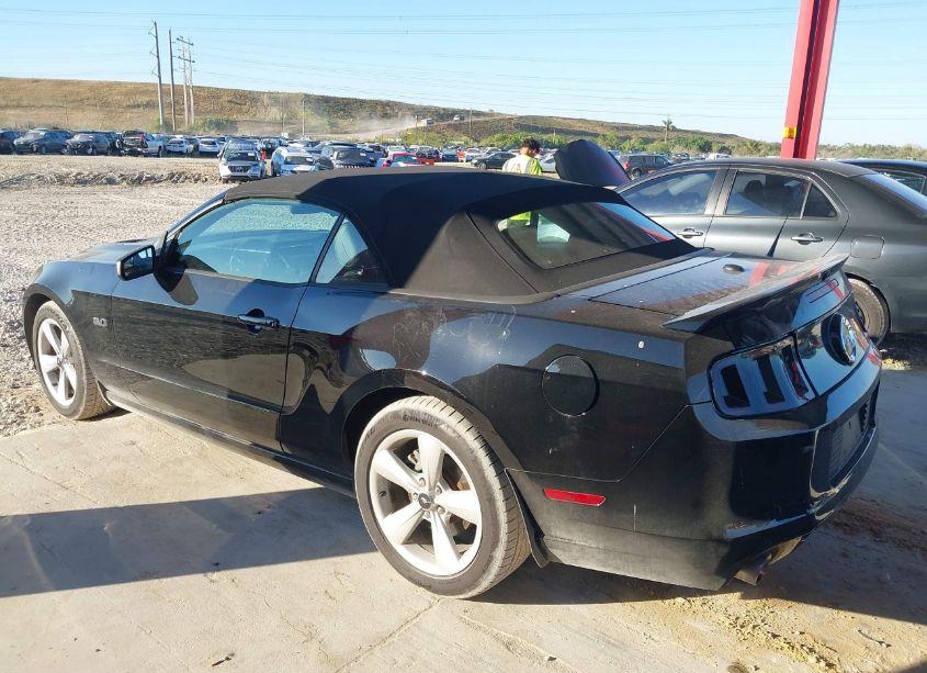 Photo 14 of 2014 Ford Mustang GT PREMIUM (VIN 1ZVBP8FF5E5325426)