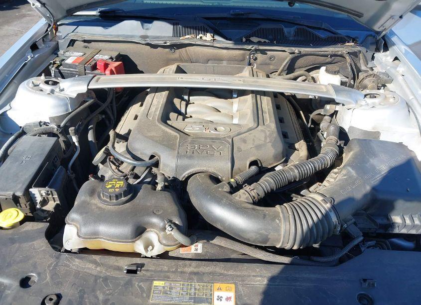 Photo 10 of 2014 Ford Mustang GT PREMIUM (VIN 1ZVBP8FF6E5204386)