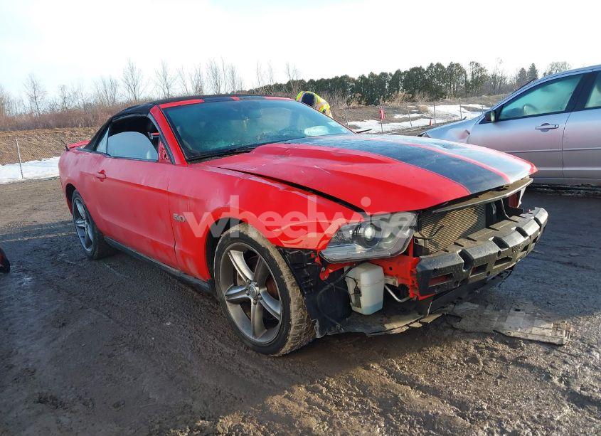 2011 Ford Mustang GT PREMIUM (VIN 1ZVBP8FF8B5124146) main photo