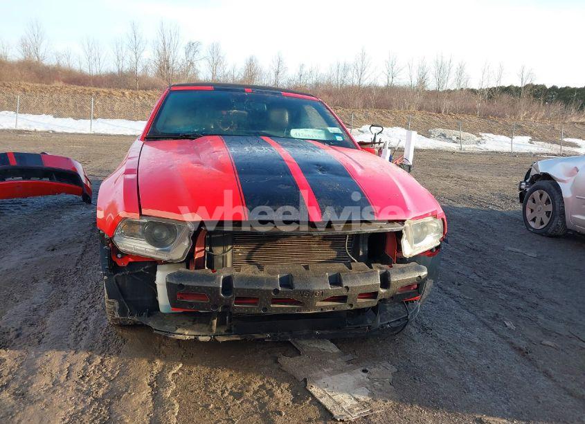 Photo 13 of 2011 Ford Mustang GT PREMIUM (VIN 1ZVBP8FF8B5124146)