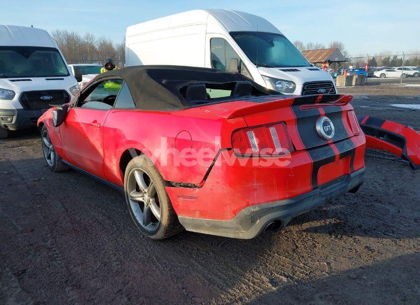 Photo 3 of 2011 Ford Mustang GT PREMIUM (VIN 1ZVBP8FF8B5124146)