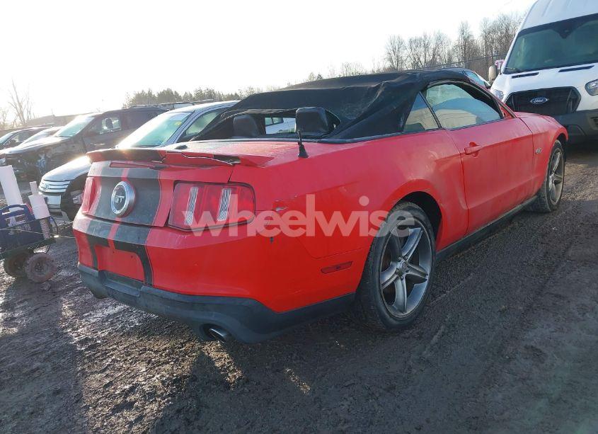 Photo 4 of 2011 Ford Mustang GT PREMIUM (VIN 1ZVBP8FF8B5124146)