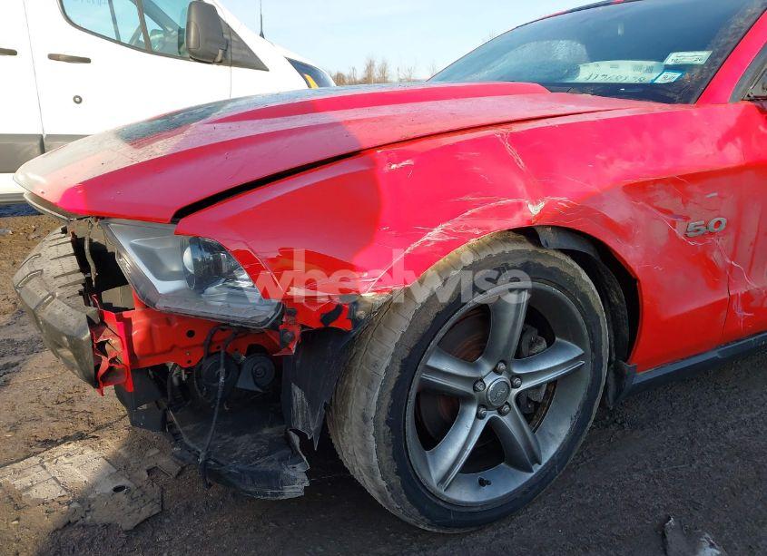 Photo 6 of 2011 Ford Mustang GT PREMIUM (VIN 1ZVBP8FF8B5124146)