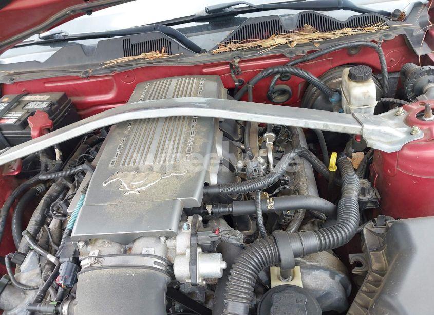 Photo 10 of 2010 Ford Mustang GT/GT PREMIUM (VIN 1ZVBP8FH0A5139014)