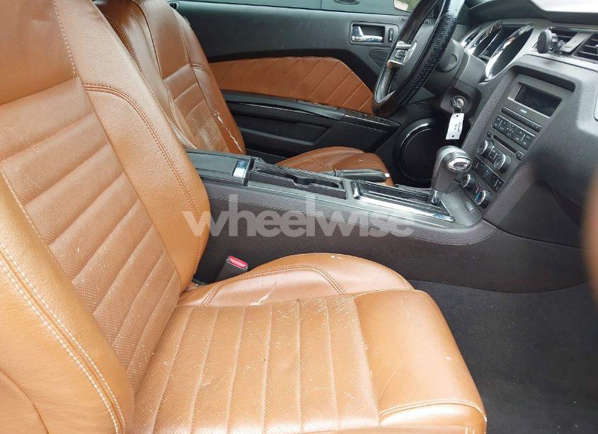 Photo 5 of 2010 Ford Mustang GT/GT PREMIUM (VIN 1ZVBP8FH0A5139014)