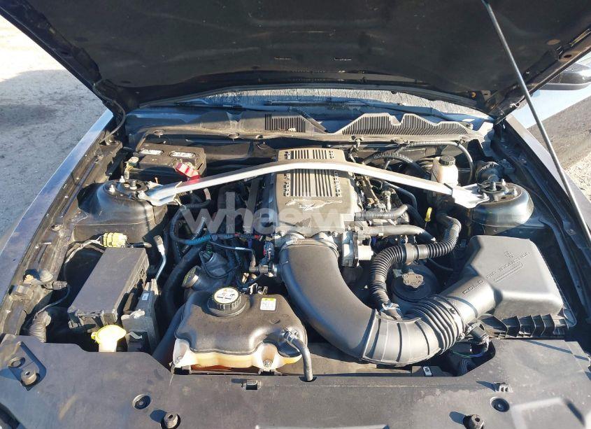 Photo 10 of 2010 Ford Mustang GT/GT PREMIUM (VIN 1ZVBP8FH6A5118510)