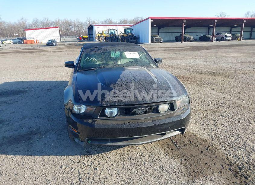 Photo 12 of 2010 Ford Mustang GT/GT PREMIUM (VIN 1ZVBP8FH6A5118510)