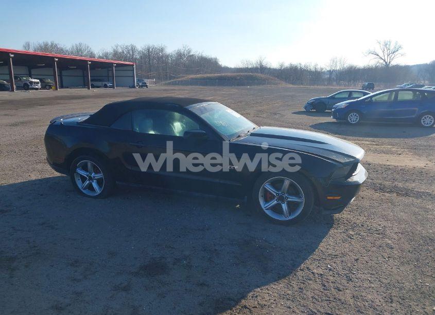 Photo 13 of 2010 Ford Mustang GT/GT PREMIUM (VIN 1ZVBP8FH6A5118510)