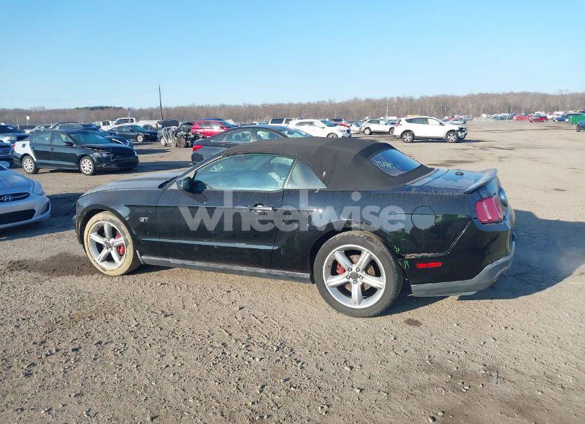 Photo 14 of 2010 Ford Mustang GT/GT PREMIUM (VIN 1ZVBP8FH6A5118510)
