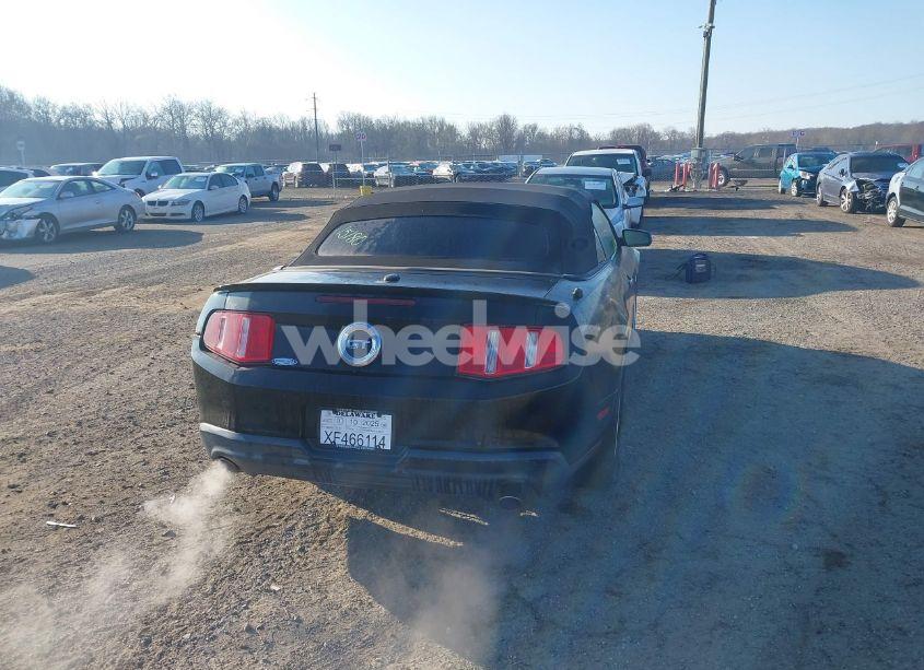 Photo 16 of 2010 Ford Mustang GT/GT PREMIUM (VIN 1ZVBP8FH6A5118510)