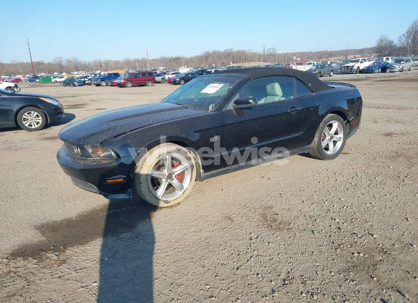 Photo 2 of 2010 Ford Mustang GT/GT PREMIUM (VIN 1ZVBP8FH6A5118510)