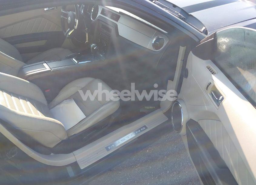 Photo 5 of 2010 Ford Mustang GT/GT PREMIUM (VIN 1ZVBP8FH6A5118510)