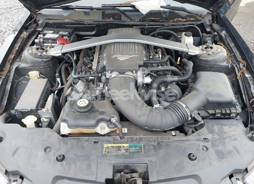 Photo 10 of 2010 Ford Mustang GT PREMIUM (VIN 1ZVBP8FH9A5101068)