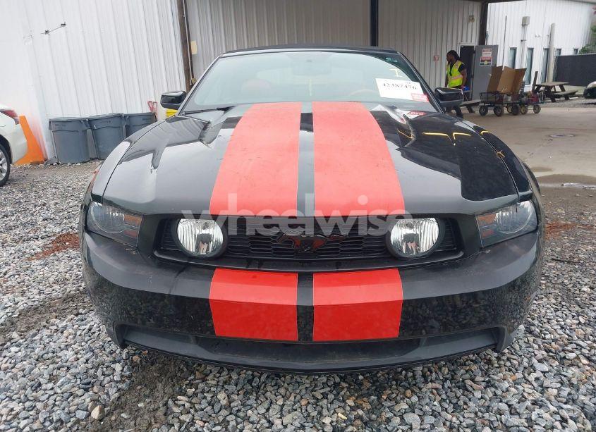 Photo 12 of 2010 Ford Mustang GT PREMIUM (VIN 1ZVBP8FH9A5101068)
