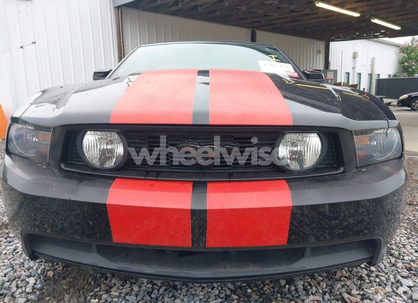 Photo 6 of 2010 Ford Mustang GT PREMIUM (VIN 1ZVBP8FH9A5101068)