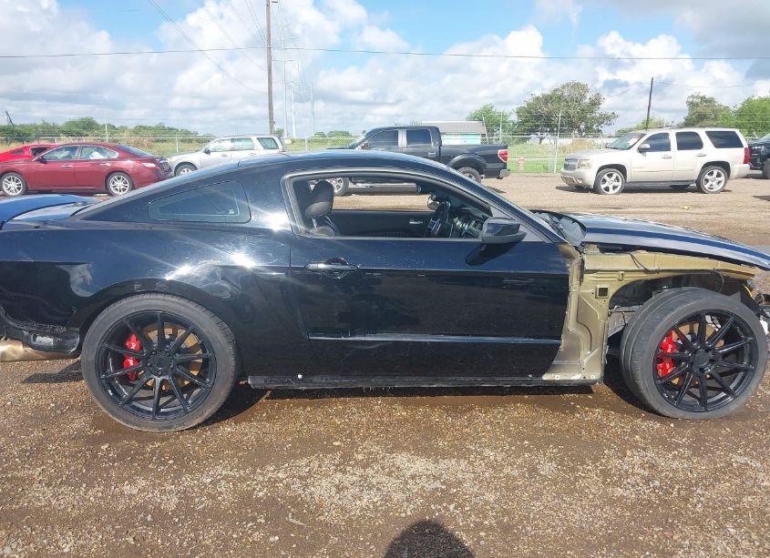 Photo 14 of 2010 Ford Shelby GT500 (VIN 1ZVBP8JS9A5130203)