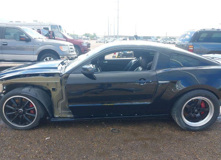 Photo 15 of 2010 Ford Shelby GT500 (VIN 1ZVBP8JS9A5130203)