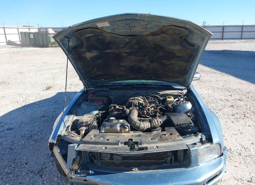Photo 10 of 2005 Ford Mustang V6 DELUXE/V6 PREMIUM (VIN 1ZVFT80N055121419)