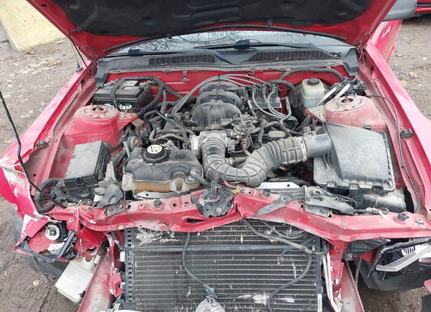 Photo 10 of 2005 Ford Mustang V6 DELUXE/V6 PREMIUM (VIN 1ZVFT80N055206860)