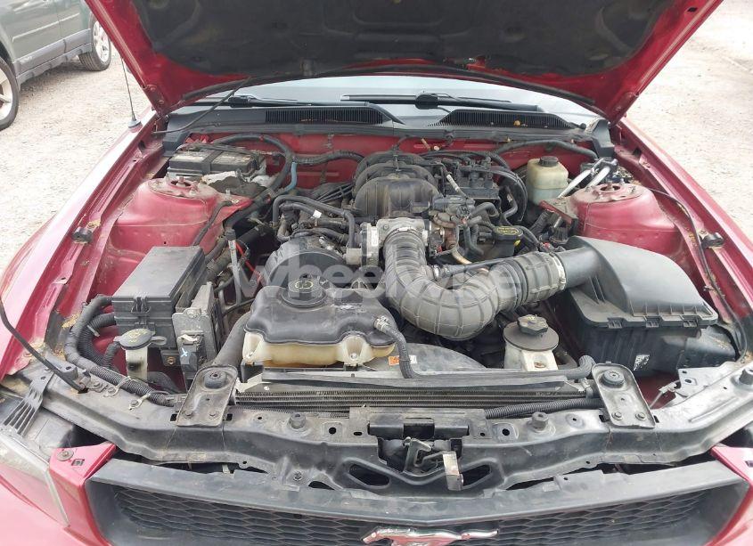 Photo 10 of 2005 Ford Mustang (VIN 1ZVFT80N055208219)