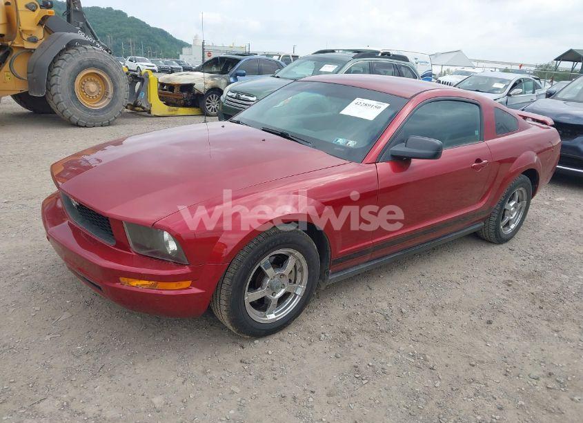 Photo 2 of 2005 Ford Mustang (VIN 1ZVFT80N055208219)