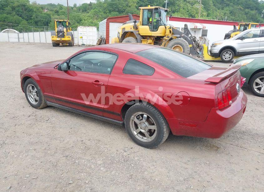 Photo 3 of 2005 Ford Mustang (VIN 1ZVFT80N055208219)