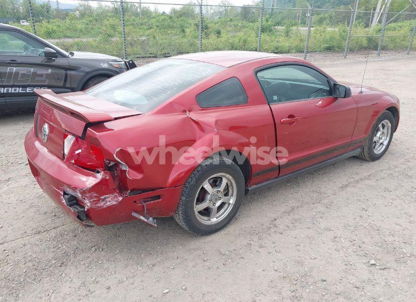 Photo 4 of 2005 Ford Mustang (VIN 1ZVFT80N055208219)