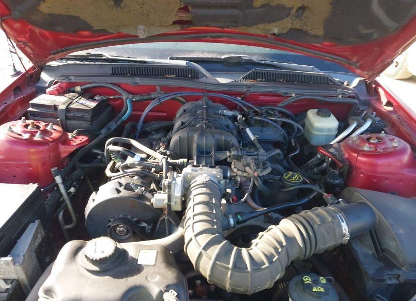 Photo 10 of 2005 Ford Mustang V6 DELUXE/V6 PREMIUM (VIN 1ZVFT80N055210908)