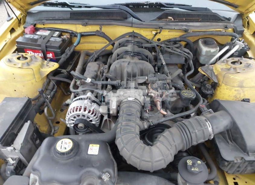 Photo 10 of 2006 Ford Mustang V6 (VIN 1ZVFT80N065155345)