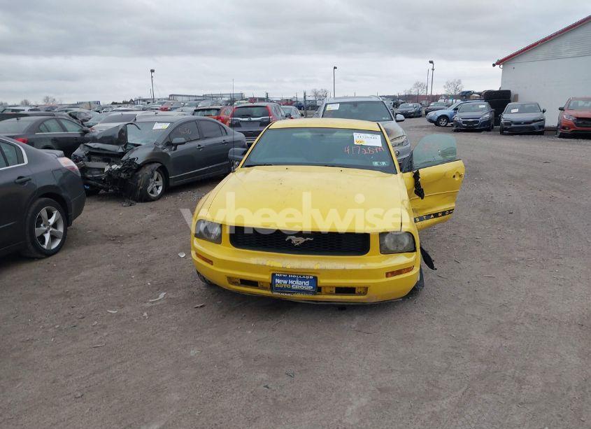 Photo 12 of 2006 Ford Mustang V6 (VIN 1ZVFT80N065155345)