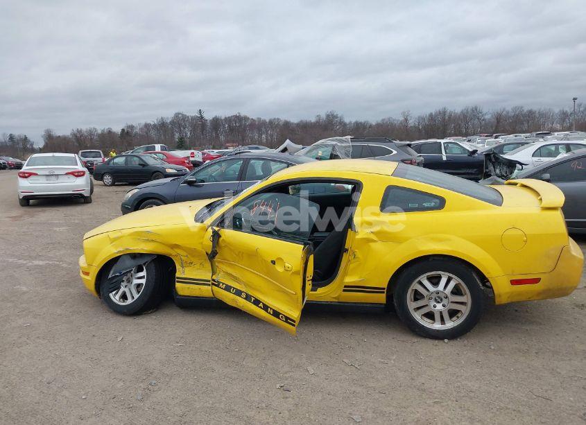 Photo 14 of 2006 Ford Mustang V6 (VIN 1ZVFT80N065155345)
