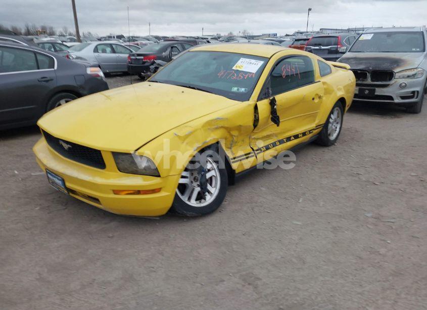 Photo 6 of 2006 Ford Mustang V6 (VIN 1ZVFT80N065155345)