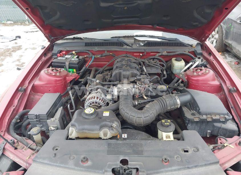 Photo 10 of 2006 Ford Mustang V6 (VIN 1ZVFT80N065163476)