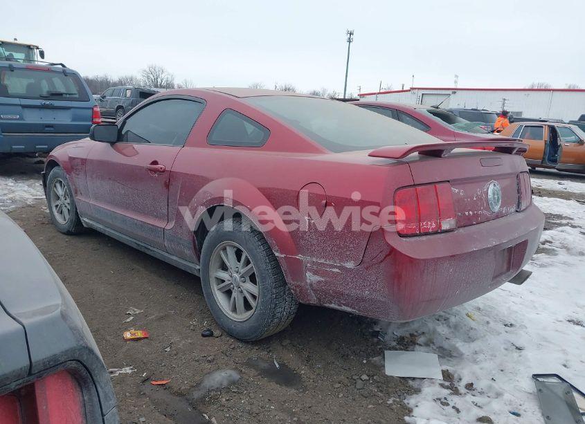 Photo 3 of 2006 Ford Mustang V6 (VIN 1ZVFT80N065163476)
