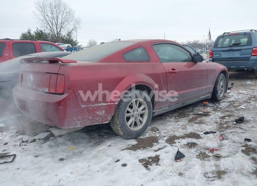 Photo 4 of 2006 Ford Mustang V6 (VIN 1ZVFT80N065163476)