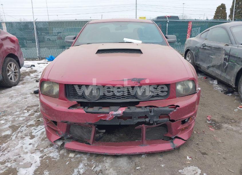 Photo 6 of 2006 Ford Mustang V6 (VIN 1ZVFT80N065163476)