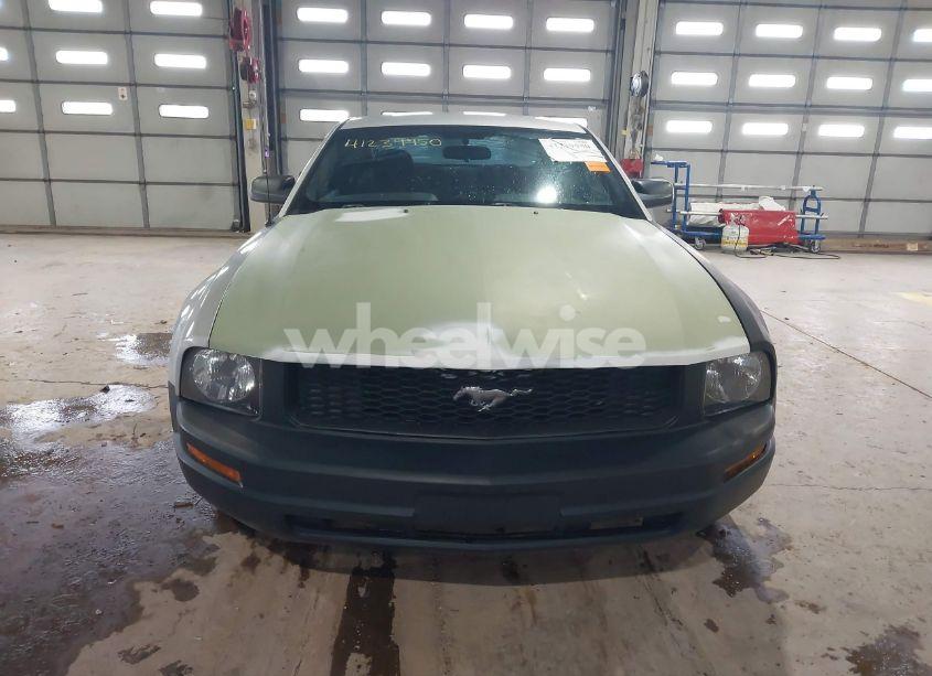 Photo 12 of 2006 Ford Mustang V6 (VIN 1ZVFT80N065191049)