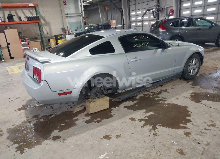 Photo 4 of 2006 Ford Mustang V6 (VIN 1ZVFT80N065191049)