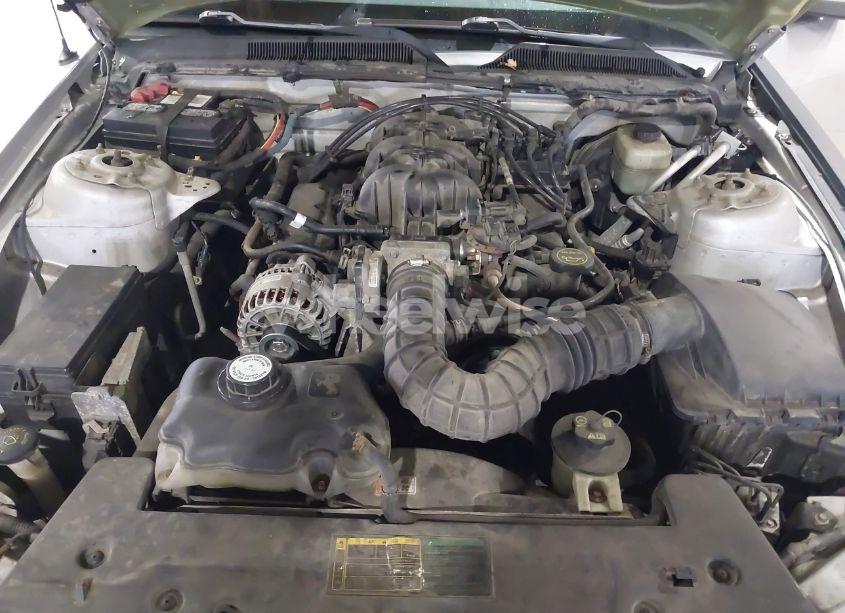 Photo 9 of 2006 Ford Mustang V6 (VIN 1ZVFT80N065191049)