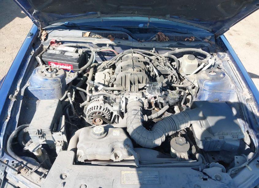 Photo 10 of 2006 Ford Mustang V6 (VIN 1ZVFT80N065236541)