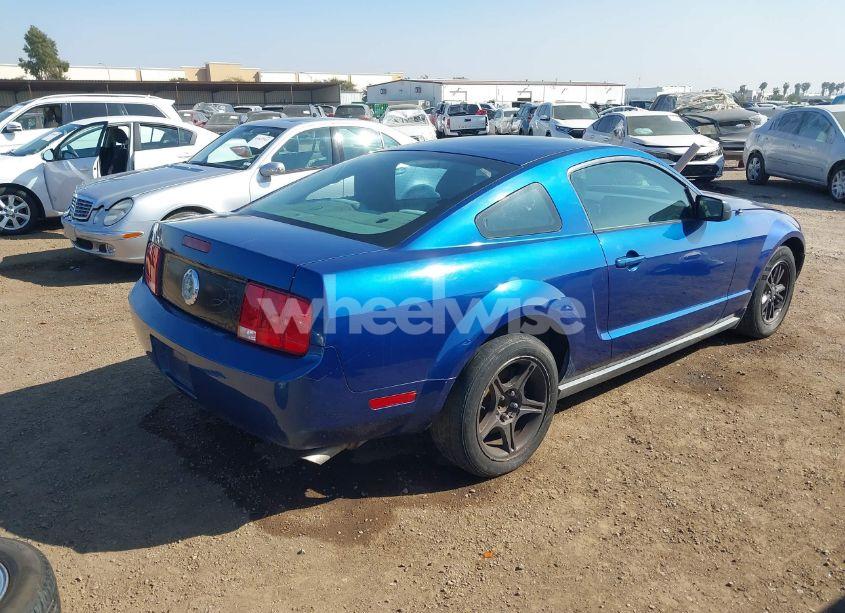 Photo 4 of 2006 Ford Mustang V6 (VIN 1ZVFT80N065236541)