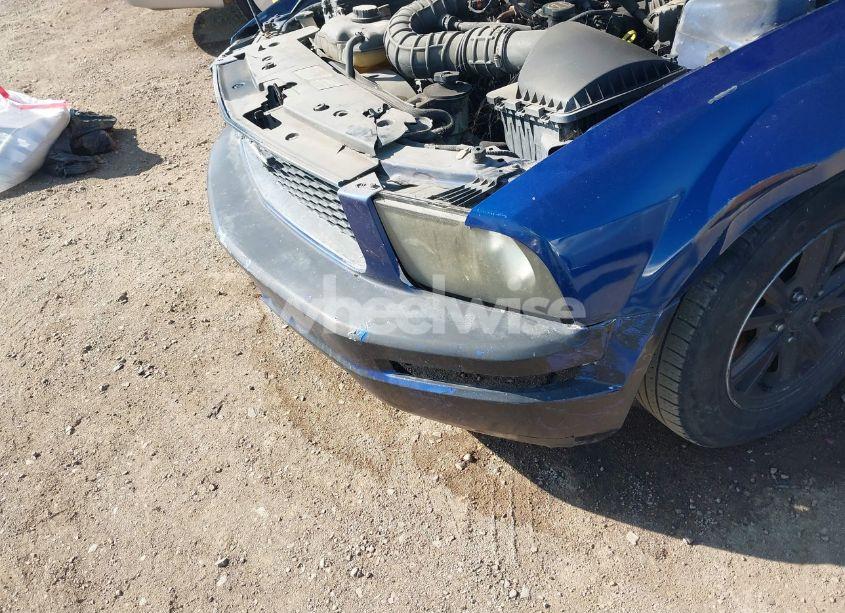 Photo 6 of 2006 Ford Mustang V6 (VIN 1ZVFT80N065236541)