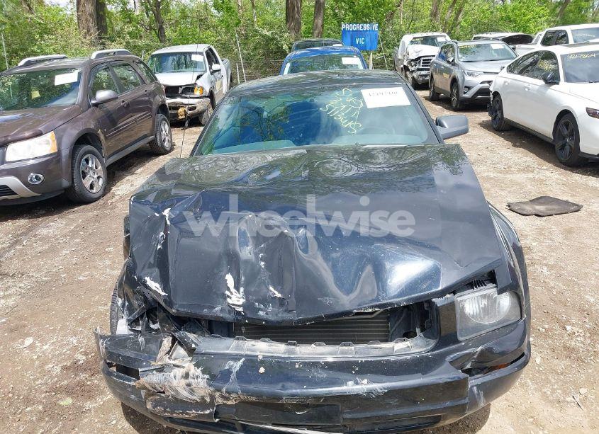 Photo 12 of 2007 Ford Mustang V6 DELUXE/V6 PREMIUM (VIN 1ZVFT80N075221362)