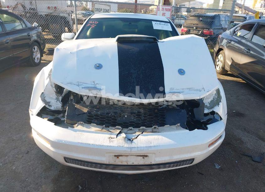 Photo 12 of 2007 Ford Mustang V6 DELUXE/V6 PREMIUM (VIN 1ZVFT80N075240462)