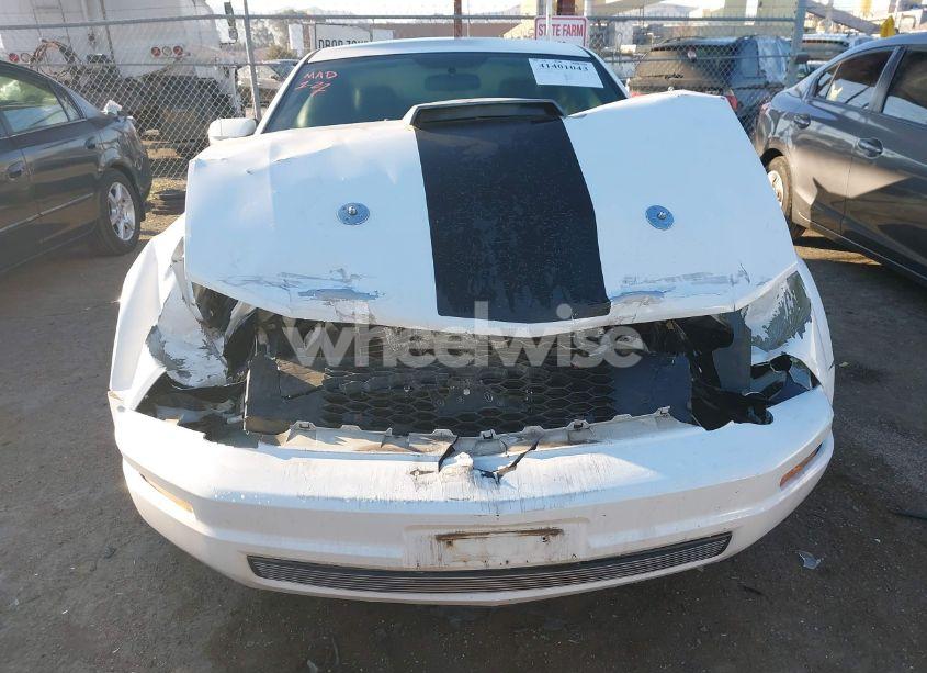 Photo 6 of 2007 Ford Mustang V6 DELUXE/V6 PREMIUM (VIN 1ZVFT80N075240462)