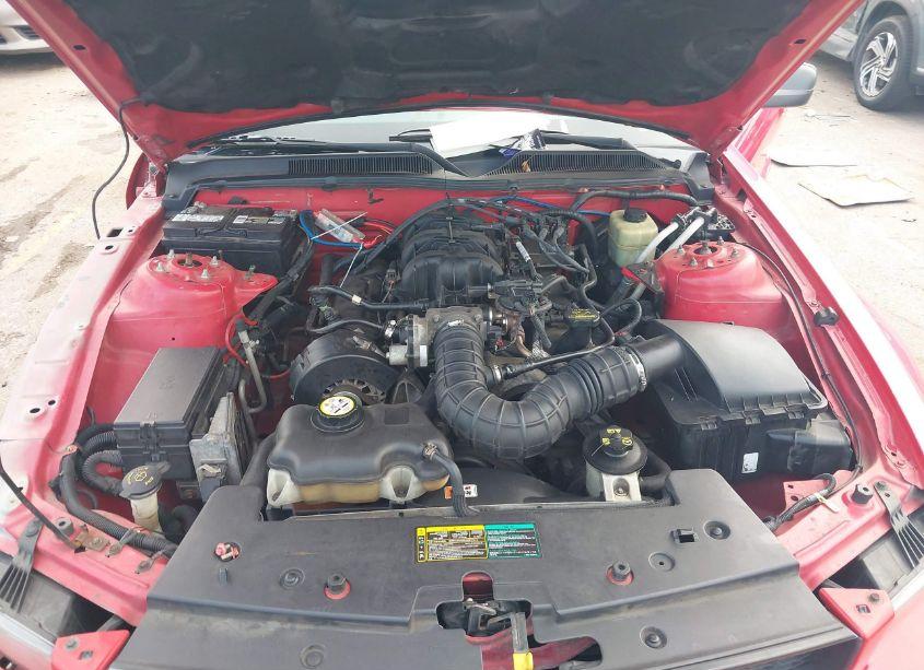 Photo 10 of 2005 Ford Mustang V6 DELUXE/V6 PREMIUM (VIN 1ZVFT80N155107898)