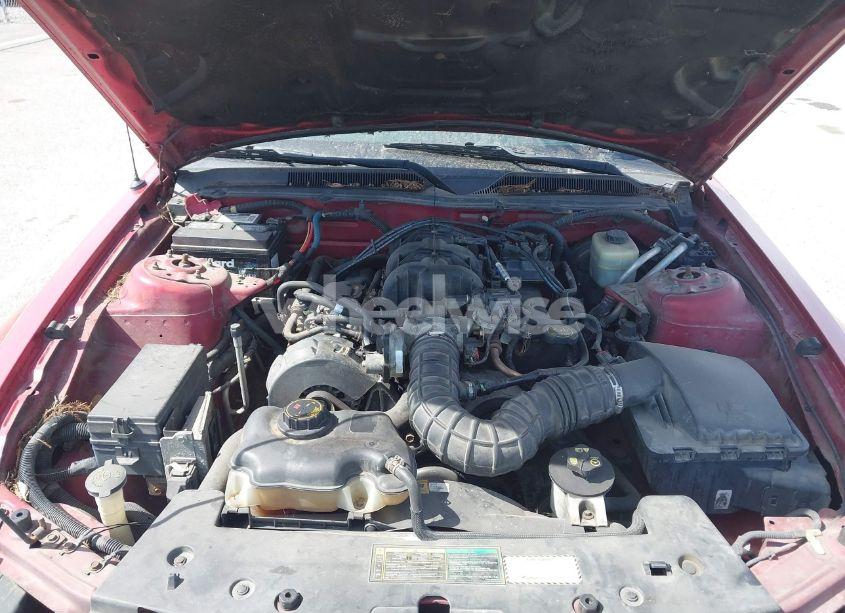Photo 10 of 2005 Ford Mustang (VIN 1ZVFT80N155120215)