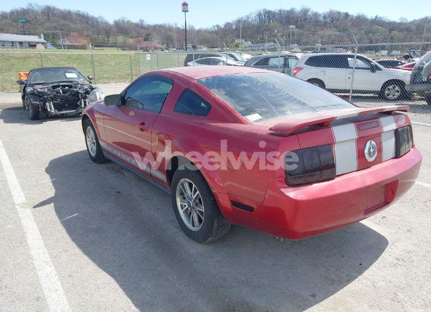 Photo 3 of 2005 Ford Mustang (VIN 1ZVFT80N155120215)