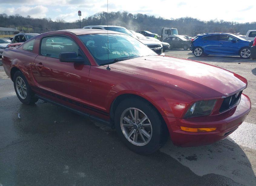 2005 Ford Mustang V6 DELUXE/V6 PREMIUM (VIN 1ZVFT80N155128881) main photo